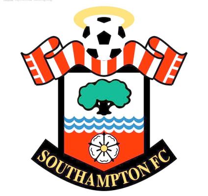 的优势与挑 的优势与挑